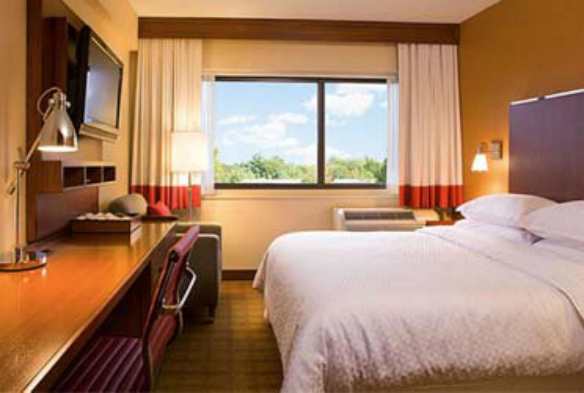 Four Points By Sheraton Punta Cana Pokój zdjęcie
